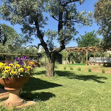 Toscana Tour - Casa Rosina Cecina Lejlighed *